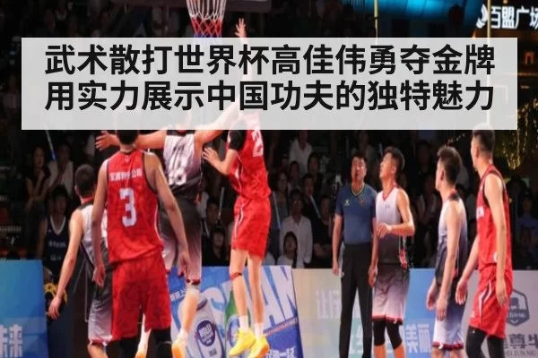 武术散打世界杯高佳伟勇夺金牌 用实力展示中国功夫的独特魅力